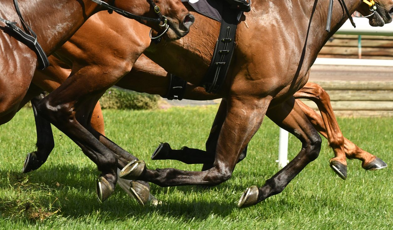 Horse racing betting UK action